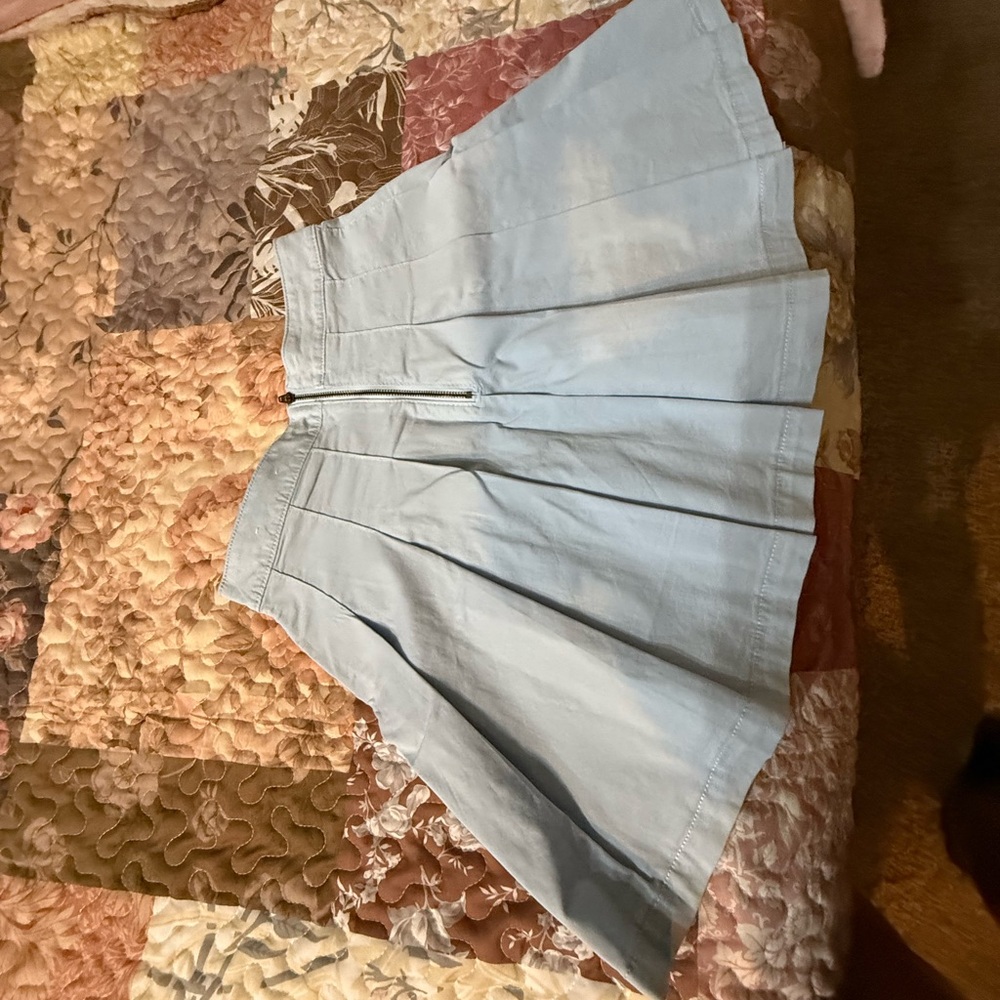 American Eagle Outfitters Light Blue Pleated Skirt